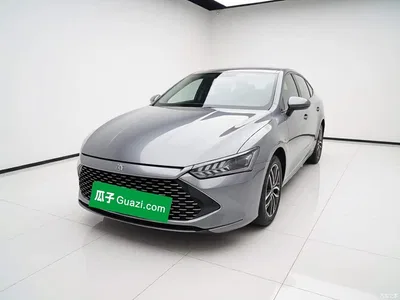 2023 BYD Qin PLUS Champion Edition DM-i 120KM Leading Type, фото 1, лот 11450549