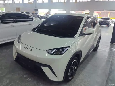 2023 BYD Seagull Freedom Edition, фото 1, лот 10386707