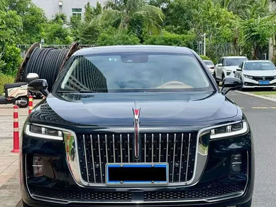 2022 Hongqi H9 2.0T Smart Connect Flag Smooth Edition, фото 1, лот 10288994