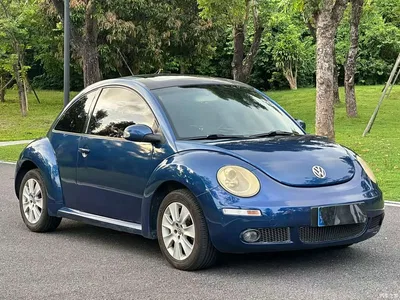 2008 Volkswagen Beetle 2.0 AT Standard, фото 3, лот 10473998
