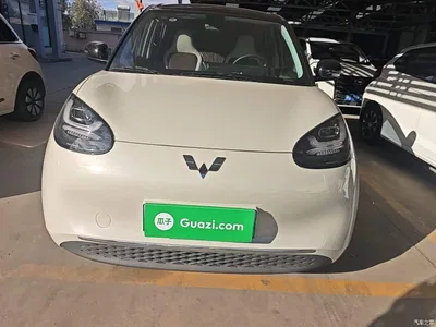 2023 Wuling Motors Wuling Bingo 203km Comfort Version, фото 3, лот 11549649