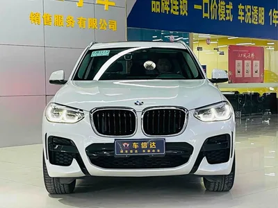 2021 BMW X3 xDrive25i M Sport Package, фото 2, лот 11003263