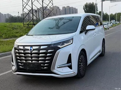 2022 Denza D9 DM-i 970 All-Wheel Drive Honor Edition, фото 3, лот 10362200