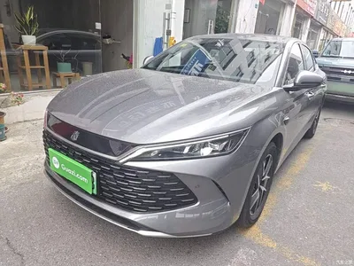 2025 BYD Qin L DM-i Smart Drive Edition 120KM Surpassing, фото 2, лот 11138238