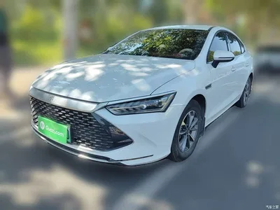 2024 BYD Qin PLUS Glory Edition DM-i 55KM Leading, фото 2, лот 10655377