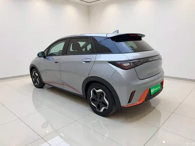 2021 BYD Dolphin Model 405km Fashion Edition, фото 4, лот 11197276