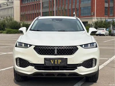 2017 WEY VV7 VV7c 2.0T Flagship, фото 2, лот 10452017