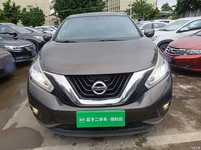 2019 Nissan Murano 2.5L XE 2WD Elite Edition (China VI), фото 3, лот 11395826