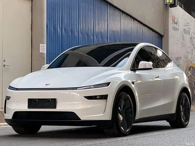 2025 Tesla Model Y Long Range All-Wheel Drive, фото 1, лот 10684830