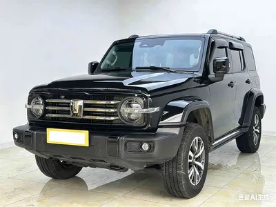 2024 Tank 300 2.0T Explorer, фото 1, лот 10345000
