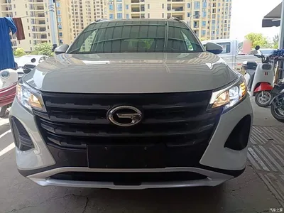 2021 GAC Trumpchi Trumpchi GS4 270T Manual Elite, фото 3, лот 10424020