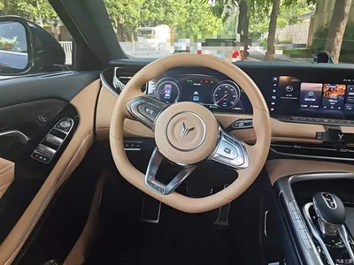 2021 Voyah Auto VOYAH FREE AWD Standard Range Extender Exclusive Luxury Package, фото 3, лот 10311658