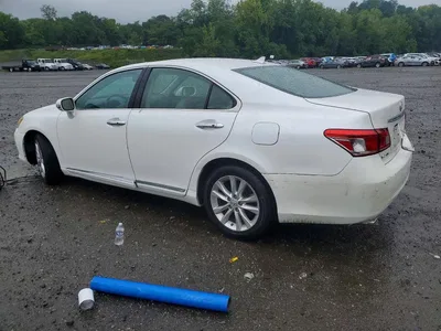 2010 LEXUS ES 350, фото 2, лот 10847119