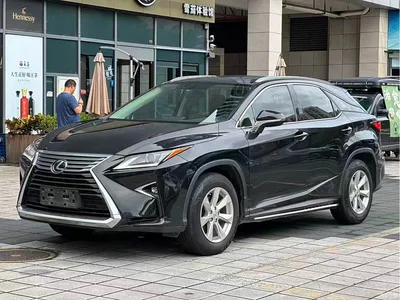 2016 Lexus RX 300 2WD Comfort Edition China V, фото 3, лот 10313638