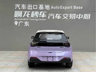 2026 Dongfeng Yipai Nano 01 Model High-end Version, фото 4, лот 10835153