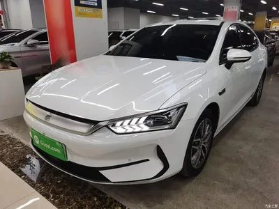 2021 BYD Qin PLUS EV 500KM Premium Model, фото 2, лот 10385412