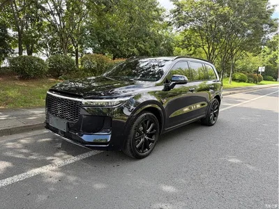 2021 Li Auto Li ONE Extended Range 6-Seater, фото 1, лот 10824585
