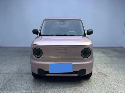 2023 Geely Galaxy Panda Mini 200km Endurance Bear, фото 2, лот 11189011