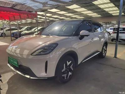 2025 Wuling Motors Wuling Bingo S Model 325km Flagship Edition, фото 1, лот 10836137