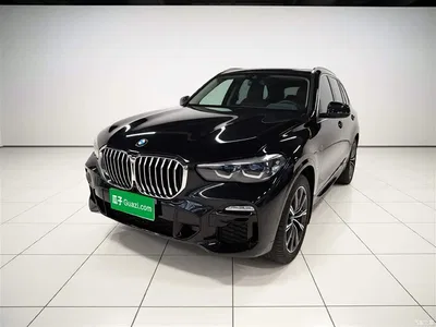 2021 BMW X5 (Import) xDrive30i M Sport Package, фото 2, лот 10464498