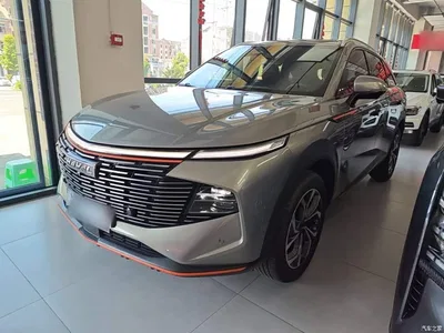 2022 Haval Shenshou 2.0T Smart Enjoyment Edition, фото 1, лот 10285693