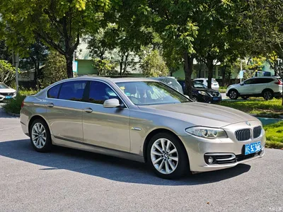 2012 BMW 5 Series 530Li Leadership, фото 3, лот 10765508