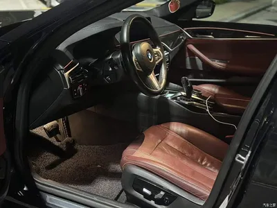2019 BMW 5 Series 530Li Premium M Sport Package, фото 3, лот 10445565
