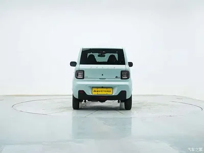 2023 Geely Galaxy Panda Mini 200km Endurance Bear, фото 4, лот 10430463