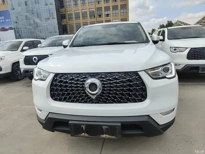 2021 Great Wall Pao 2.0T Commercial Edition Automatic Diesel 4WD Navigation Standard Box GW4D20M, фото 3, лот 10248892