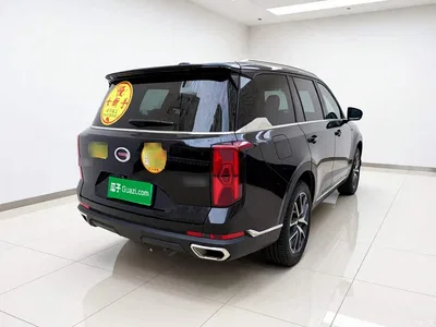 2022 GAC Trumpchi Trumpchi GS8 Pilot Series 2.0TGDI 2WD Luxury Smart Connect Edition (7-Seater), фото 4, лот 11184764