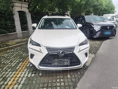 2020 Lexus NX 200 AWD F Sport China VI, фото 3, лот 10319206