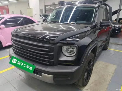 2024 Haval Meng Long NEV Hi4 102 Pro, фото 2, лот 10417300