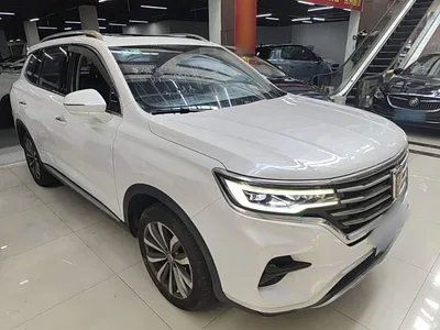 2019 Roewe RX5 MAX 300TGI Automatic 4G Connected Luxury Edition, фото 4, лот 10341103