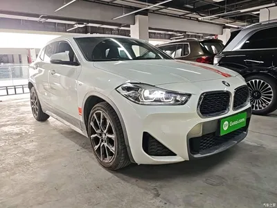 2021 BMW X2 Facelift sDrive25i Edge Edition, фото 4, лот 10475478
