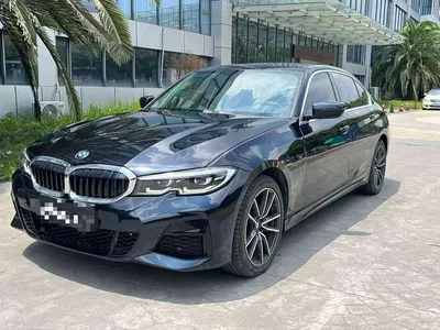 2022 BMW 3 Series 320Li M Sport Package, фото 1, лот 11535579