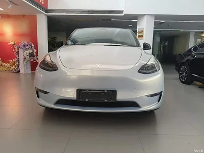 2021 Tesla Model Y Standard Range Rear-Wheel Drive, фото 3, лот 10369783