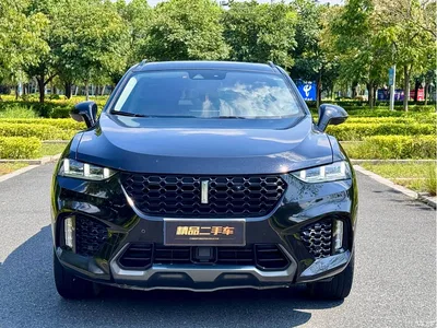 2017 WEY VV7 2.0T Flagship, фото 2, лот 10570824