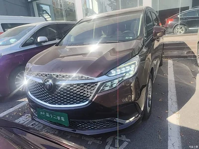 2020 Buick GL8 Avenir Six-Seat Elegance Edition, фото 3, лот 11579983