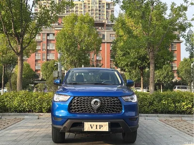 2021 Great Wall Pao 2.0T Commercial Edition Automatic Diesel 2WD Elite Long Box GW4D20M, фото 2, лот 11096050
