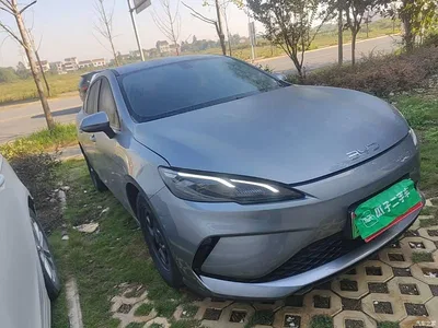 2025 BYD Hai Bao 05 DM-i DM-i Smart Drive Edition 55KM Luxury, фото 4, лот 11580275