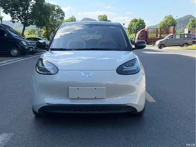 2024 Wuling Motors Wuling Bingo 333km Smart Connect Edition, фото 2, лот 10368084
