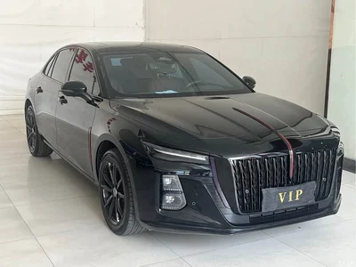 2025 Hongqi H5 2.0T Automatic Mystic Shadow, фото 3, лот 10288432