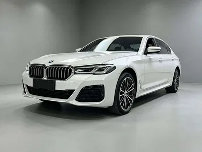 2023 BMW 5 Series 530Li Leading M Sport Package, фото 1, лот 11249931