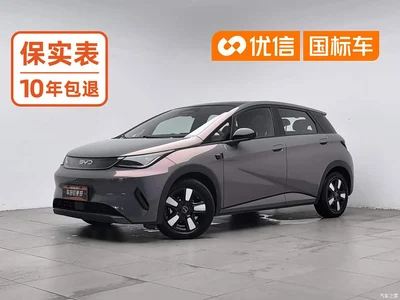 2025 BYD Dolphin Smart Drive Edition 410km Fashion Version, фото 1, лот 10250187