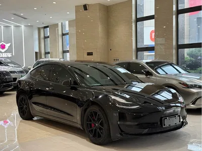 2019 Tesla Model 3 (Import) Long Range All-Wheel Drive Edition, фото 3, лот 10346513
