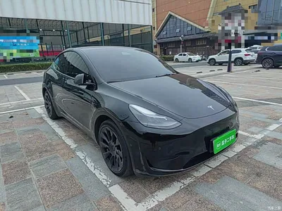 2022 Tesla Model Y Rear-Wheel Drive Version, фото 4, лот 11136734
