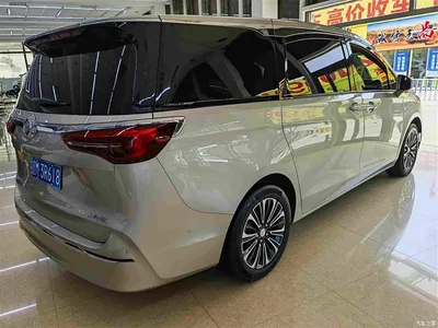 2021 Buick GL8 ES Landlord 653T Luxury, фото 4, лот 10252393