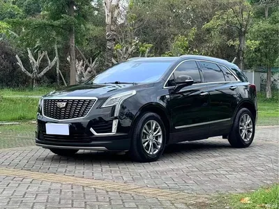 2020 Cadillac XT5 28T Luxury Model, фото 1, лот 10300978