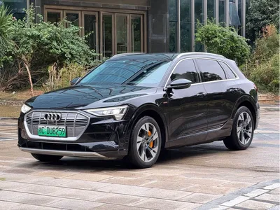 2019 Audi e-tron (Import) 55 quattro Technology, фото 1, лот 10405754