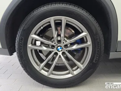 2021 BMW X4 xDrive20i M Sport X, фото 4, лот 10068937